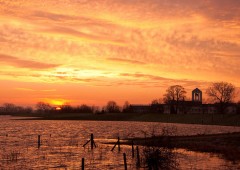 Concours LME – FleurDeMenthe