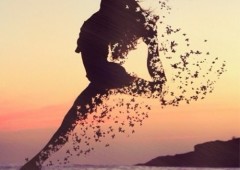 La danseuse de minuit