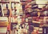 Plongée au coeur des livres